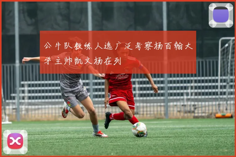 公牛队教练人选广泛考察杨百翰大学主帅凯文杨在列