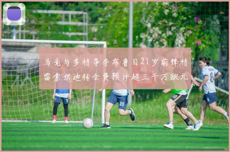 马竞与多特争夺布鲁日21岁前锋特雷索尔迪转会费预计超三千万欧元