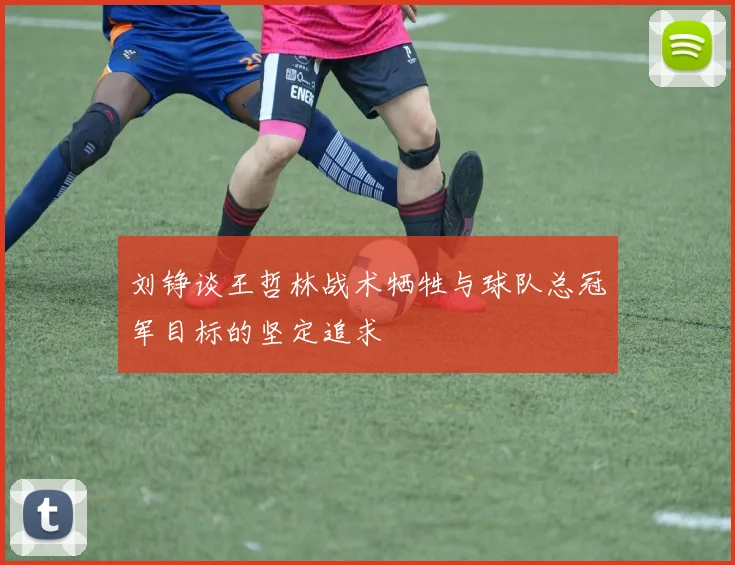 刘铮谈王哲林战术牺牲与球队总冠军目标的坚定追求